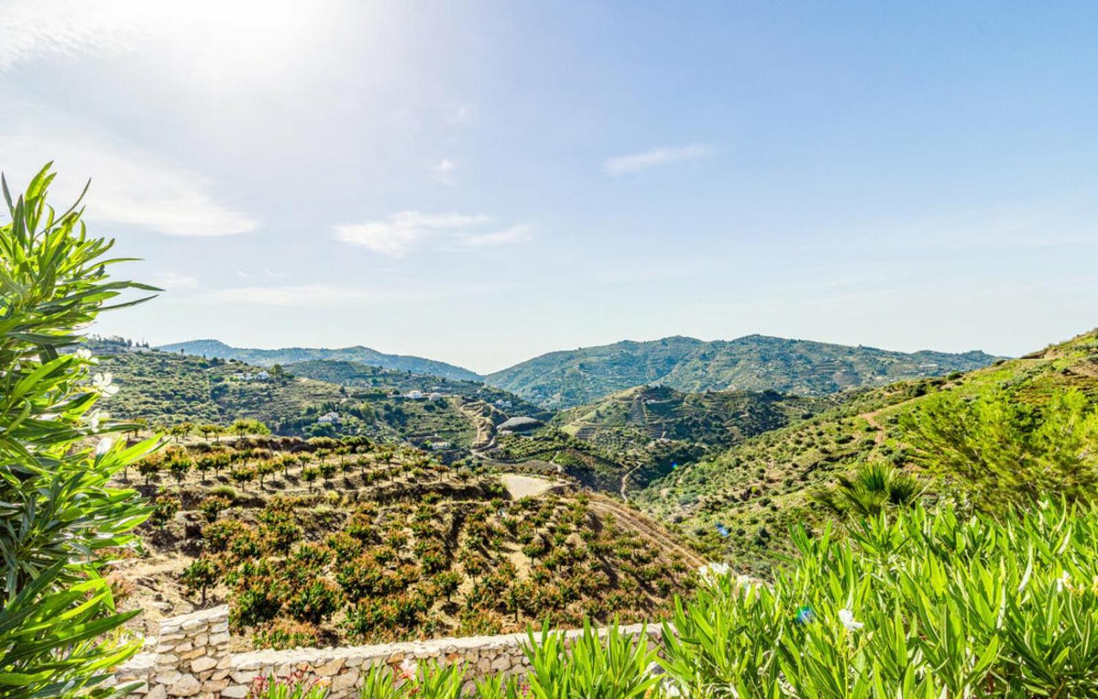 Villa Javier En Sayalonga Exteriér fotografie